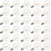 Hfourhnik G40 Lampadine LED di Ricambio, E12 Attacco Vite Lampadine a Globo Infrangibili per Luci a Catena da Esterno, Bianco Caldo, Confezione da 30