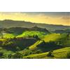 adrium Quadro acrilico 80 x 50 cm: Lunghi vigneti Tramonto Panorama, Castiglione Falletto e La Morra, Piemonte, Nord Italia Europa. (110085149)