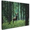 MuchoWow© Stampa su Tela Quadri da Salotto Moderni Soggiorno Canvas per | 70x50 cm - bagno Foto Decorazioni Parete Cervo - Bosco - Alberi - Animali - Natura