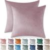 Ystyle Federe Cuscini Divano 60x60 2 Pezzi, Copri Cuscino Natalizie in Velluto con Cerniera Invisibile Morbidi e Lavabili, Copricuscini per Salotto e Camera Soggiorno Letto, Viola Chiaro