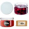 KADAX Piccoli vasetti per conserve da 250 ml, con coperchio, ermetici da regalare, mini barattoli per miele e spezie (10 pezzi, bianco)