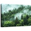 Visario quadro su tela 120x80 cm 5052 foresta nella nebbia paesaggio