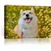 FOSOQIB Foto su Tela Personalizzata - Quadro Personalizzato con Foto, Stampa ad Alta Risoluzione, Regalo Perfetto per la Festa del Papà e la Festa della Mamma, 20x15 cm