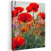 MuchoWow© Stampe su Tela Foto Quadri Moderni Camera da Letto Canvas Quadro | 50x70 cm - Salotto Decorazione Parete Papavero - con Fiori - Rosso - Viola - Prato