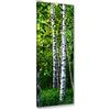 Feeby Quadro Tela Non Tessuta Foglie D'Erba Di Betulla 25x70 cm Qualita Fotografica Stampa D'Arte Camera Da Letto Natura verde