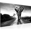 Runa Art Quadri Moderni Africa Elefante 1 Pezzo Tela Non Tessuta Soggiorno Corridoio Animali Nero Bianco 042612c