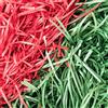 JeeMooTown 500g Carta Tagliuzzata per Natalizi, Paglia per Cesti Rossa e verde, Ideale Paglia Confezioni per Scatole Regalo
