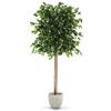 Maia Shop Ficus Artificiale 185 cm - Pianta Finta da Interno Realistica | Pianta Artificiale Alta con Tronco Naturale e Foglie in PE per Casa Soggiorno Ingresso Ufficio - Vaso Nero Incluso
