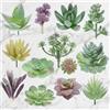 Generic Set di 13 piante grasse artificiali di cactus finte, per decorazione di interni, scrivania, casa, ufficio, decorazioni verdi