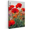 MuchoWow© Stampe su Tela Foto Quadri Moderni Camera da Letto Canvas Quadro | 20x30 cm - Salotto Decorazione Parete Papavero - con Fiori - Rosso - Viola - Prato