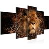 Runa Art - Quadri Africa Leone 200 x 100 cm 5 Pezzi XXL Decorazione Murale Design Astratto 040751a