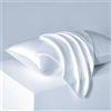 Juwenin Home - Confezione da 2 federe per cuscino in pura seta di gelso, morbide, per capelli e pelle, con chiusura a busta (bianco, standard, 50 x 75 cm)