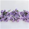 C.X.Y. 144 bacche (Set 12 Fiori da 12 pistilli bacche) bomboniera confezione scatola fiore fai da te (VIOLA)