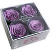Verde stabilizzato Box 2x2 Rose Stabilizzate Made in Italy - Disponibile in Diversi Colori - 4 Rose Eterne Fiori Stabilizzati - Elegante Bouquet di Fiori Veri | Idea Regalo e Decorazioni (4 Lilla)