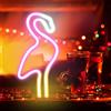 DAKABUKA Insegna al neon con fenicottero per decorazione da parete, lampada a fenicottero, decorazione da parete, luce a LED, decorazioni per feste di compleanno, per casa, patio, bar, ristoranti