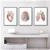 KXHHYB Set di 3 poster anatomici da parete con cuore, cervello, anatomia umana, ospedale, clinica, arte da parete, medica, senza cornice (A, 50x70cm*3)