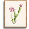 MHARTK66 Quadri Moderni Stampe da Parete vintage Naturale Fiori 20x25 cm | stampa hd nitida, facile da appendere alla parete, montaggio rapido, versatile in vari ambienti, indicato come dono creativo