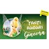 Vestin BANNER STRISCIONE COMPLEANNO CON NOME PERSONALIZZATO - TRILLY - BANNER PVC ANCHE DA ESTERNO GARANZIA 5 ANNI (100x50 cm)