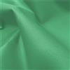 A-Express 20 oz Resistente Tela Impermeabile Tessuto Materiale Spessa Tela 600D Copertura Venduta al metro - Mezzo Metro 50cm x 150cm Verde bottiglia