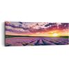 ARTTOR Moderno Quadro su Tela 90x30 cm Stampe da Parete Botanica Paesaggi - 3816 | Lavanda Montagne Campo Quadro Decorativo 1 pezzo Soggiorno Camera da Letto Arte da Parete Decorazione da Parete ARTTOR