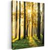 MuchoWow© Stampe su Tela Foto Quadri Moderni Camera da Letto Canvas Quadro | 30x40 cm - Salotto Decorazione Parete Foresta - Sole - Albero - Erba - Paesaggio - Natura