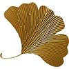 F Fityle Ginkgo - Foglie decorative in metallo, decorazione da parete in metallo Gingko, foglie di Gingko realizzate a mano, per soggiorno, giardino, terrazza, balcone, casa, ufficio, soggiorno, decorazione
