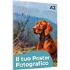 Cimpress Poster personalizzato con foto e testo, formato A3 (29.7 x 42cm) | Aggiungi la tua foto e il tuo testo per creare una decorazione da parete personalizzata, ideale per casa, ufficio o regalo.