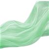 FORBELL Morbido tessuto in organza in tulle, 160 cm x 3 m/5 m/10 m, tessuto decorativo a rete trasparente, per matrimoni, feste, archi, abito, gonna in tulle, veli e decorazioni fai da te (verde chiaro, 160 x