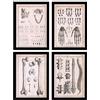 Nacnic Set di 4 poster di anatomia umana. Colonna vertebrale, mani e mascella. Illustrazioni di biologia e medicina in stile vintage. Design e decorazione d'interni. A4 senza cornice.