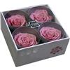 Verde stabilizzato Box 2x2 Rose Stabilizzate Made in Italy - Disponibile in Diversi Colori - 4 Rose Eterne Fiori Stabilizzati - Elegante Bouquet di Fiori Veri | Idea Regalo e Decorazioni (4 Ciliegia)