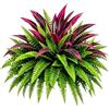 Generisch Felce finte - Piante artificiali in polietilene resistente ai | Verde artificiale, riempitivo di felce viola e verde, fogliame realistico impermeabile per giardino, patio, piscina, balcone