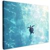 MuchoWow© Quadri Moderni Soggiorno Poster Da Parete Decorazioni Muro | 70x50 cm - Salotto Quadro Grande Foto Con Cornice Stampe Su Tela Camera Da Letto Tartaruga - Mare - Blu - Scintillio