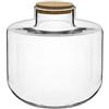 Generico Vaso Terrario in Vetro Trasparente con Tappo in Sughero 26cm | Forma Tondeggiante, Altezza 25,5 cm, Tappo Ermetico, Design Minimalista, Uso Interno