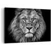 ARTTOR Stampe da Parete 100x70 cm Quadro su Tela Africa Bianco e Nero - 4494 | Ritratto Leone E Quadro Decorativo Grande 1 pezzo Soggiorno Camera da Letto Arte da Parete Decorazione da Parete ARTTOR