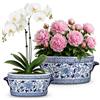 Briful Set di 2 vasi in ceramica blu e bianca - Fioriera vintage ovale per piante e fiori da interno - Ciotola decorativa in porcellana cinese smaltata - Dimensioni 18,8 cm e 26,9 cm - Non drenare