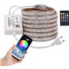 XUNATA Bluetooth strisce LED Musical, 220 V 5050 60 LEDs/m RGB striscia LED + telecomando, IP67 impermeabile per interni intemperie scale da soffitto luci decorazione-17 m
