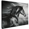 MuchoWow© Stampa di Foto su Tela Quadro Soggiorno Moderno Quadri per | 70x50 cm - Salotto Decorazioni Camera Cavallo - Animali - Bianco e nero