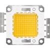 Tesfish 100W LED Chip Perline di luce LED bianco caldo 3000K Lampadina ad alta potenza Chip lampada a risparmio energetico