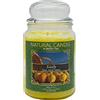 NATURE CANDLE by Bonturi Casa NATURE CANDLE candela profumata 100% cera vegetale - Giara 580g Sicily