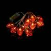 Generic Strawberry String Lights 6.5FT 10 LED, Luci Decorative a Forma di Fragola per Natale e Feste, Catena Luminosa da Interno per Finestre Pareti e Porte, Alimentazione a Batterie, Luce Fissa