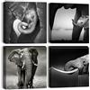Artscope Stampe e Quadri su Tela 4 pz. Elefante Africano- Grigio Immagine Fotografia Murale Tela Wall Art Bel Regalo per Home Decor Ristorante Cucina Regalo di Anniversario Compleanno 30x30CM