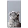 Telastampa Quadro Personalizzato con Foto HD, 40x100 cm Made in Italy - Telaio Incluso - Canvas Stampa Tela Personalizzabile in Alta Definizione - Idea Regalo Compleanno Anniversario 40x100 cm