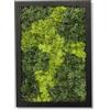 comforder Quadro Muschio Stabilizzato, Rettangolare 17x24 cm, Bicolore | Vero muschio stabilizzato con cornice in legno, decorazione naturale da parete, per il soggiorno