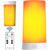 AUAUY 1PZ Lampadina Filamento LED, Ricaricabile con Telecomando, 4 Modalità | Lampadine Illuminazione Ambientale, per Casa, Giardino, bar, Halloween, Natale