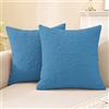CYCMACO Federe Cuscini Divano 2 Pezzi 45x45, Copricuscini Divano Per Salotto Soggiorno, Federa Cuscino Con Cerniera Invisibile, Moderno Federa Cuscino, Per Domestica Camera Da Letto, Azzurro