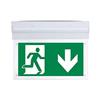 V-TAC Lampada LED di Emergenza Chip Samsung 2W, Anti Black-Out Ip20 Inclinabile 90° Installazione Superficiale