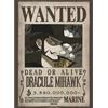 GB eye Poster One Piece Wanted Mihawk Wano 38x52cm