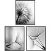 A ART·ZONE Stampe da parete in bianco e nero Poster Minimalist Decor, 11x14 Pollici Stampe su tela Unframed Set di 3, Poster vegetali Estetici per Soggiorno