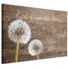 murando Quadro Soffione 120x80 cm 1 Pezzo - Stampa su Tela Strutturata XXL Grande - Quadri Moderni Soggiorno Grandi - Stampe da Parete Murale Arte Moderno Pittura - b-A-0917-b-a