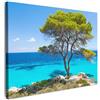 MuchoWow© Quadri Moderni Camera Da Letto Foto Quadro Decorazioni Parete | 70x50 cm - Soggiorno Stampa Su Tela Moderna Cucina Salotto PosterAlbero - Natura - Verde - Mare